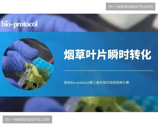 广告投放系统与精彩瞬间挂钩 营销价值瞬时转化